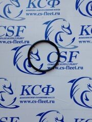 O-ring 223406-31